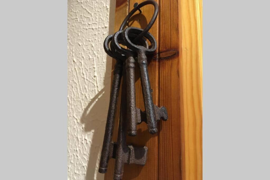 Maison Des Alpes Mansarda Oulx 外观 照片